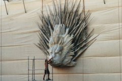 Siena installazione
