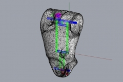 progettazione struttura- RHINOCERS