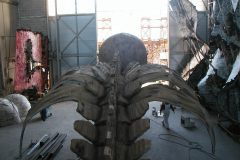 dentro l'hangar